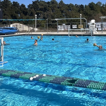 Taj Renee community pool logo